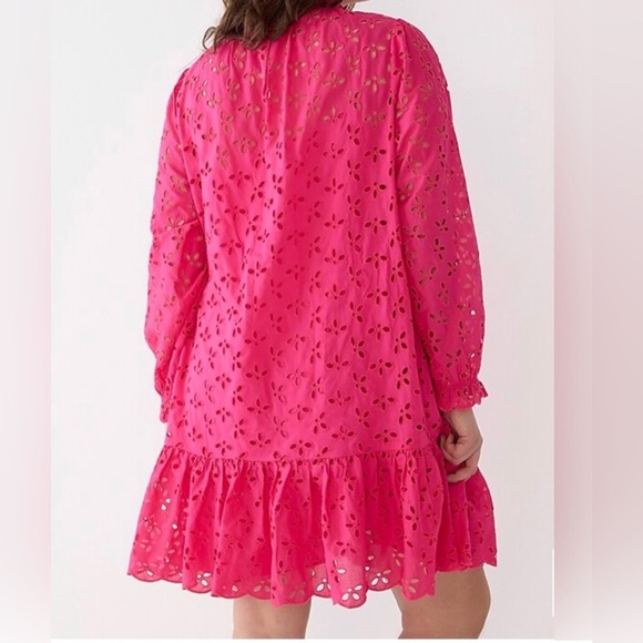 NWT! J. Crew Long Sleeve Ruffle Trim Pink Eyelet Dress Size Small - Picture 3 of 10
